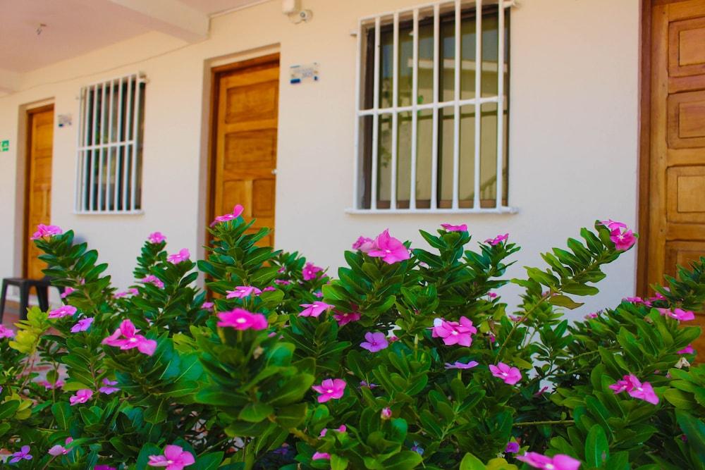 Hotel Dorado Plaza Punta Arena Playa de Punta Arena ภายนอก รูปภาพ